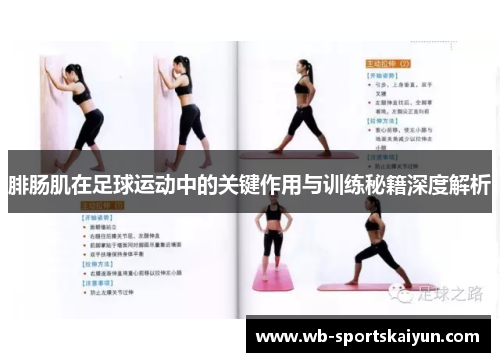 腓肠肌在足球运动中的关键作用与训练秘籍深度解析